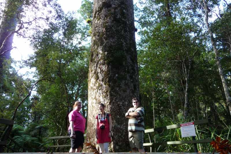 Nieuw-Zeeland 2011 - 0271